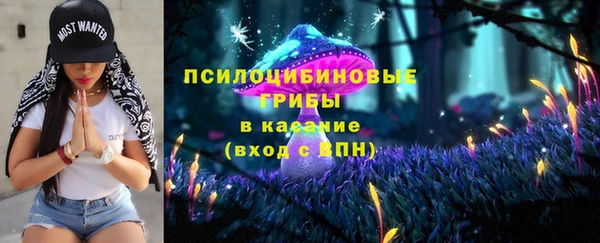дживик Балахна