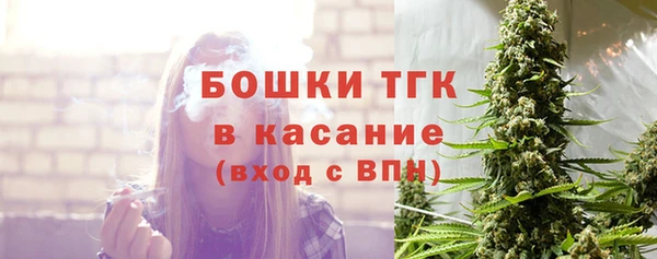 дживик Балахна